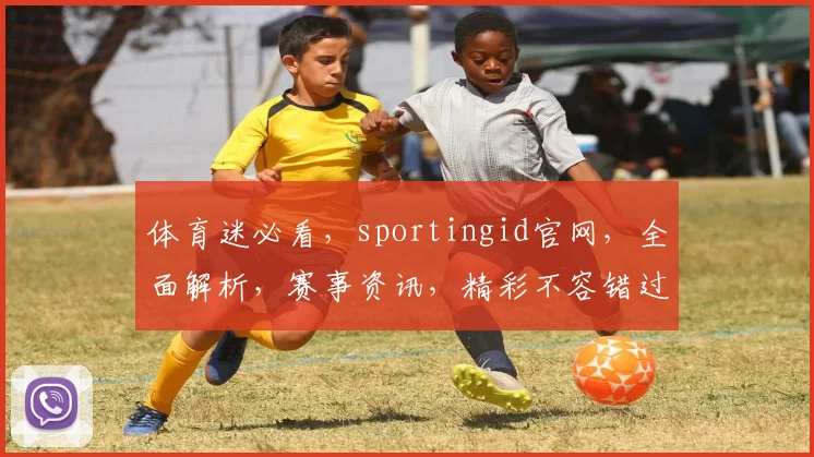 体育迷必看，sportingid官网，全面解析，赛事资讯，精彩不容错过，三重福利等你来