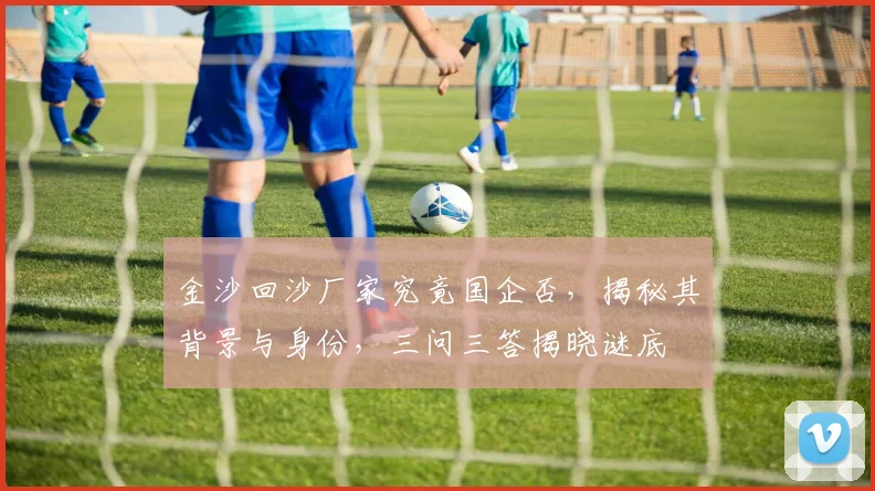金沙回沙厂家究竟国企否，揭秘其背景与身份，三问三答揭晓谜底