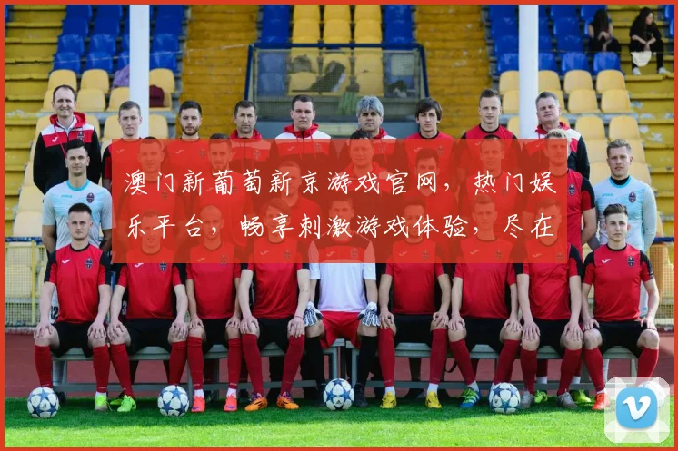澳门新葡萄新京游戏官网，热门娱乐平台，畅享刺激游戏体验，尽在新京游戏官网