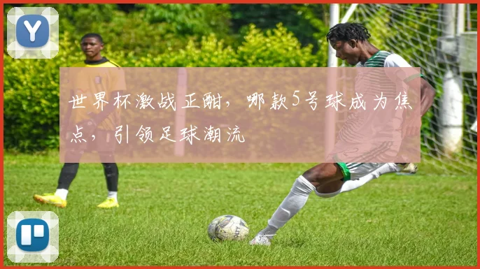 世界杯激战正酣，哪款5号球成为焦点，引领足球潮流