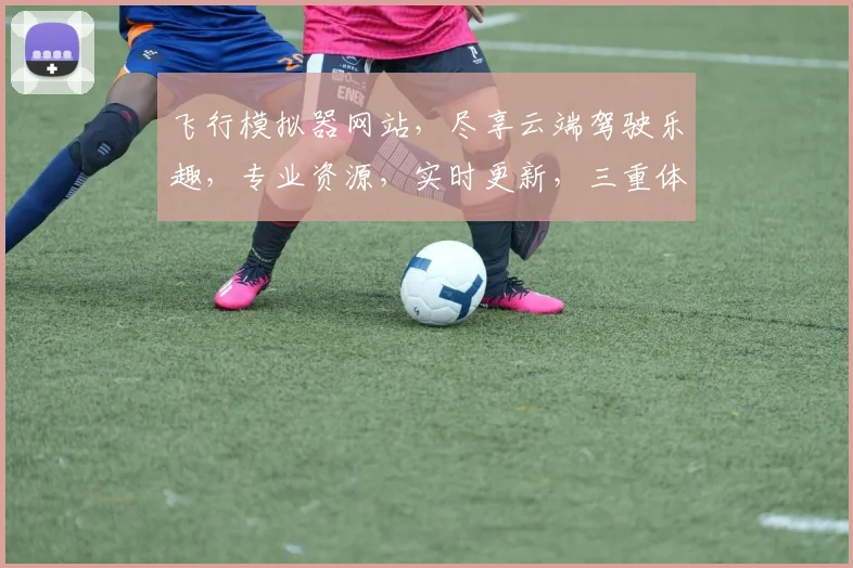 飞行模拟器网站，尽享云端驾驶乐趣，专业资源，实时更新，三重体验，一网打尽