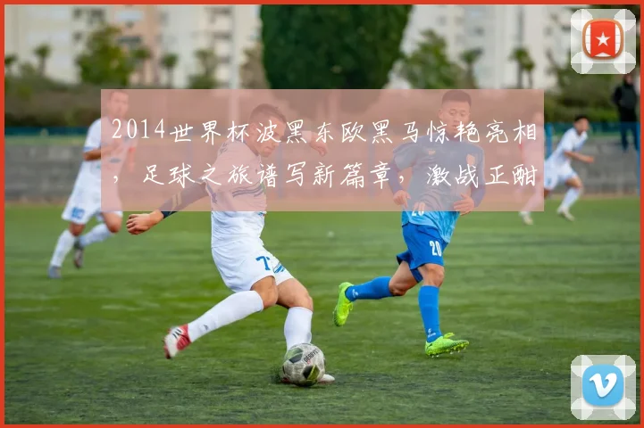 2014世界杯波黑东欧黑马惊艳亮相，足球之旅谱写新篇章，激战正酣