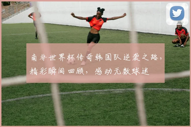南非世界杯传奇韩国队逆袭之路，精彩瞬间回顾，感动无数球迷