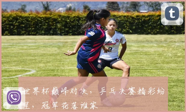 世界杯巅峰对决，乒乓决赛精彩纷呈，冠军花落谁家