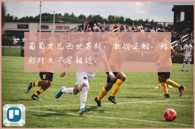 葡萄牙巴西世界杯，激战正酣，精彩对决不容错过，