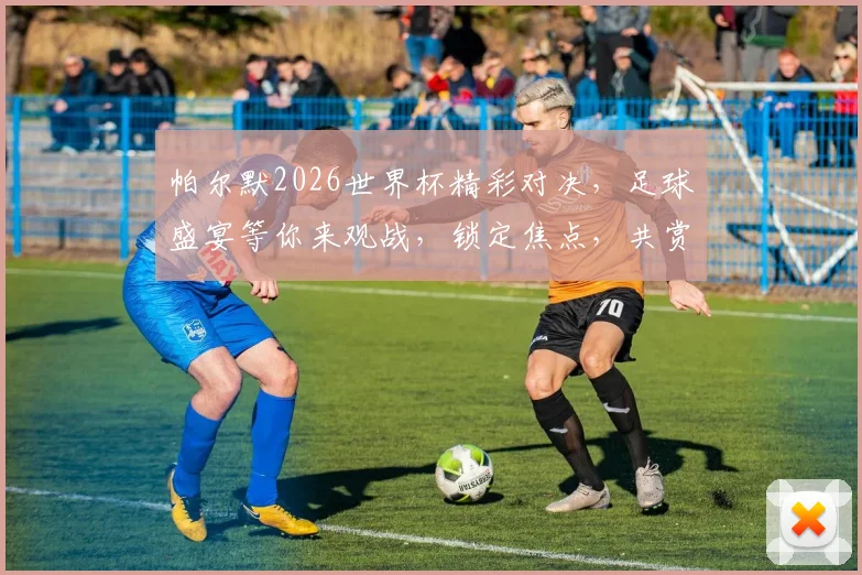 帕尔默2026世界杯精彩对决，足球盛宴等你来观战，锁定焦点，共赏激情