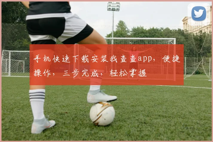 手机快速下载安装我查查app，便捷操作，三步完成，轻松掌握